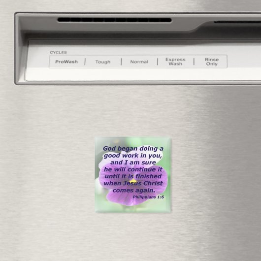 Philippinen 1:6 magnet (In Situ (Geschirrspüler))