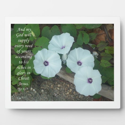 Philippinen 4:19 fotoplatte (Vorderseite)