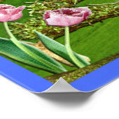 Philippinen 4:4 Schrift-Plakat Poster (Ecke)