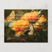 Philippinen 4:6-7 Sei kein ängstliches Bibelverse Postkarte (Vorderseite)