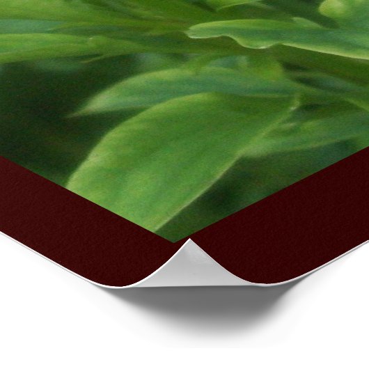 Philippinen 4:8 poster (Ecke)