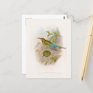 Philippinen-Bienenfresser (1850-1883) Postkarte