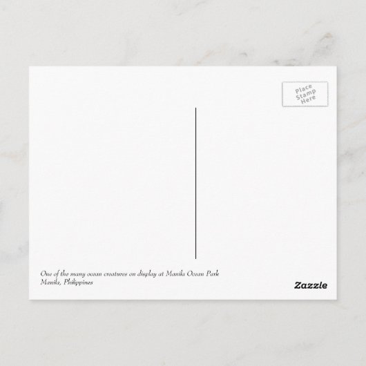 Philippinen Postkarte (Rückseite)