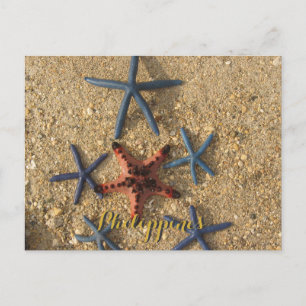Philippinen Red & Blue Starfish Postkarte