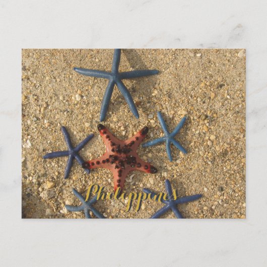Philippinen Red & Blue Starfish Postkarte (Vorderseite)