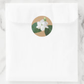 Philippinen-Serie: Sampaguita-Blume Runder Aufkleber (Tasche)