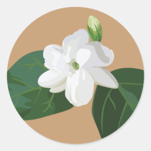 Philippinen-Serie: Sampaguita-Blume Runder Aufkleber