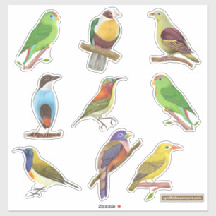 Philippinische Eingeborene/Endemische Vögel Aufkleber