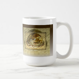 Philippinisches SeeMuschelfilipino-Tasse Kaffeetasse