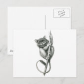 Philipppine Tarsier schukina Postkarte (Vorne/Hinten)