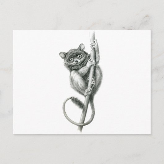 Philipppine Tarsier schukina Postkarte (Vorderseite)