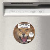 Phillip F. Jiamachello DDS Zahnhygiene Magnet (In Situ (Geschirrspüler))