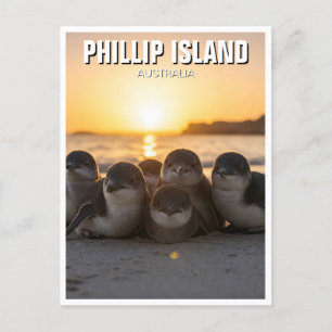 Phillip Island Australien Postkarte