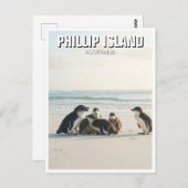 Phillip Island Australien Postkarte (Vorne/Hinten)