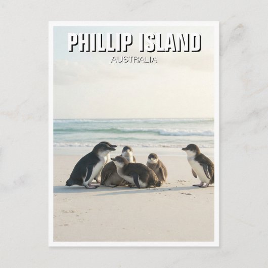 Phillip Island Australien Postkarte (Vorderseite)