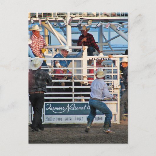 Phillipsburg, Kansas Rodeo 2007 Postkarte (Vorderseite)