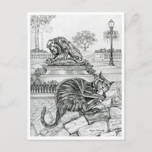 Philly Cat in Rittenhouse Postkarte (Vorderseite)