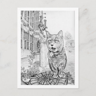 Philly Cat near Academy of Natural Sciences Postkarte