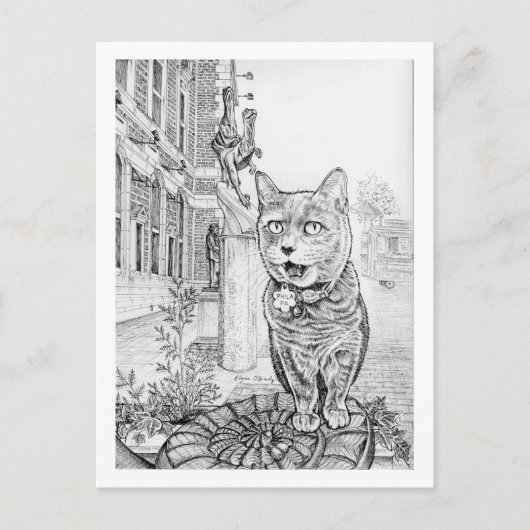 Philly-Katze in der Nähe der Akademie der Naturwis Postkarte (Vorderseite)