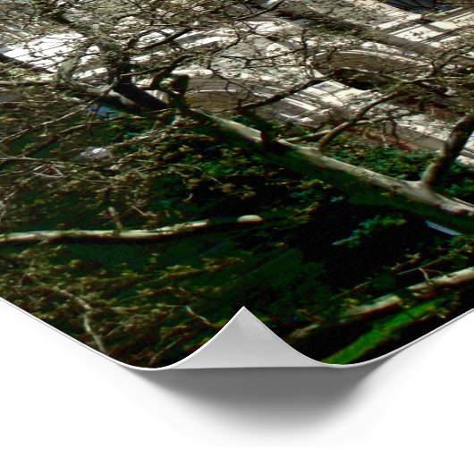 Philly Poster (Ecke)