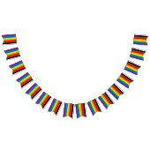 Philly Rainbow Pride Flag Wimpelkette (Alle)