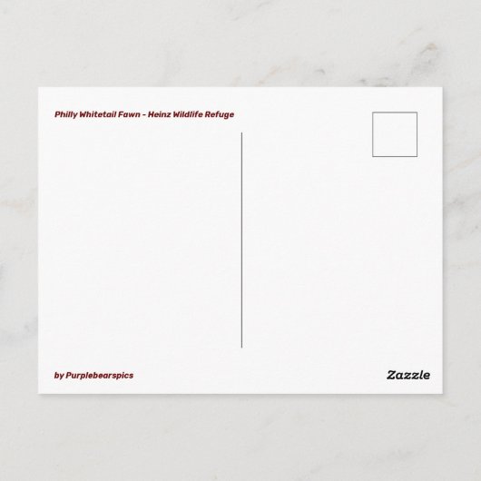 Philly Whitetail Fawn Postcard Postkarte (Rückseite)