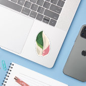 Philodendron Pink Princess Aufkleber (Laptop mit iPhone)