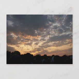 Phish Ball Postkarte