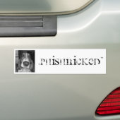Phishnicked Hundeaufkleber Autoaufkleber (Auf Auto)