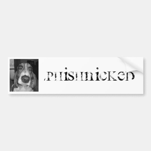 Phishnicked Hundeaufkleber Autoaufkleber (Vorne)