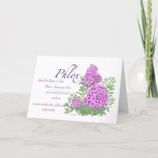 Phlox Blank Card Dankeskarte