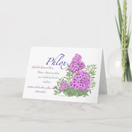 Phlox Blank Card Dankeskarte