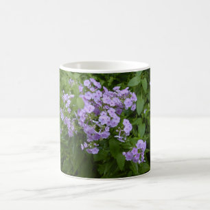 Phlox blüht Tasse
