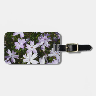 Phlox-Blume Gepäckanhänger