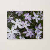 Phlox-Blume Puzzle (Horizontal)