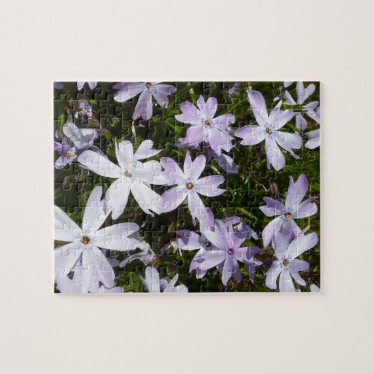 Phlox-Blume Puzzle (Horizontal)