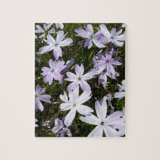 Phlox-Blume Puzzle (Vertikal)