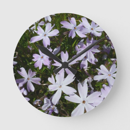 Phlox-Blume Runde Wanduhr (Vorderseite)