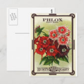 Phlox gemischt postkarte (Vorne/Hinten)
