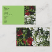 Phlox Hibiskus Blumengarten Natur Visitenkarte (Vorne/Hinten)