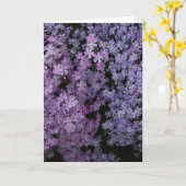 Phlox im Überfluss Karte (Gelbe Blume)