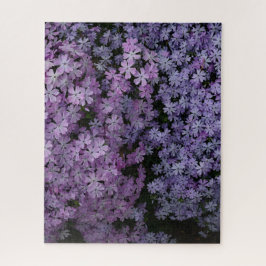 Phlox im Überfluss Puzzle