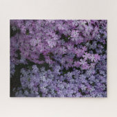 Phlox im Überfluss Puzzle (Horizontal)