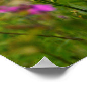 Phlox in der Nähe eines Friedhofs Poster (Ecke)