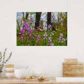 Phlox in der Nähe eines Friedhofs Poster (Küche)