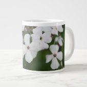 Phlox Jumbo-Tasse (Vorderseite Rechts)