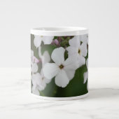 Phlox Jumbo-Tasse (Vorderseite)