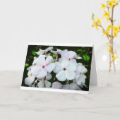 Phlox, Karte (Gelbe Blume)