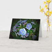 Phlox, Karte (Gelbe Blume)