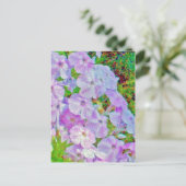 PHLOX-MALETTE POSTKARTE (Stehend Vorderseite)